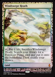 Windswept Heath Zendikar Expeditions